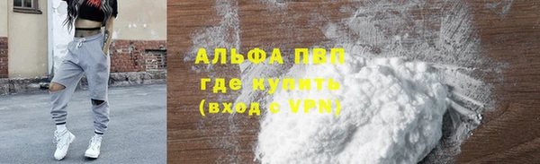 шишки Козельск