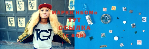 шишки Козельск