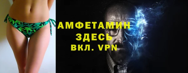шишки Козельск