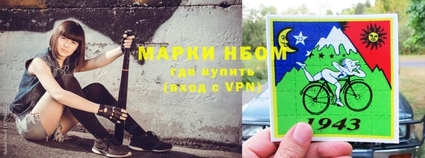 шишки Козельск