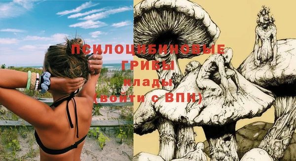 таблы Коряжма