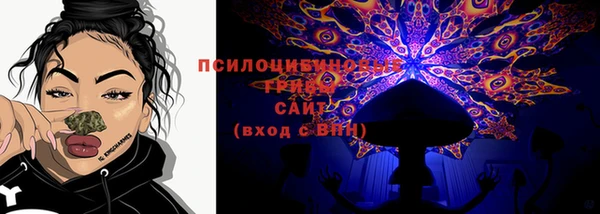 шишки Козельск