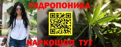 гидропоника Пушкино
